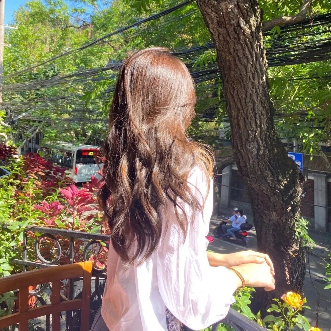 探险活宝第五季